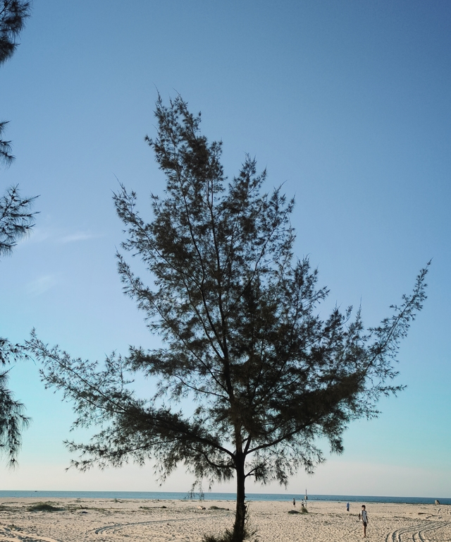 Random Image 11