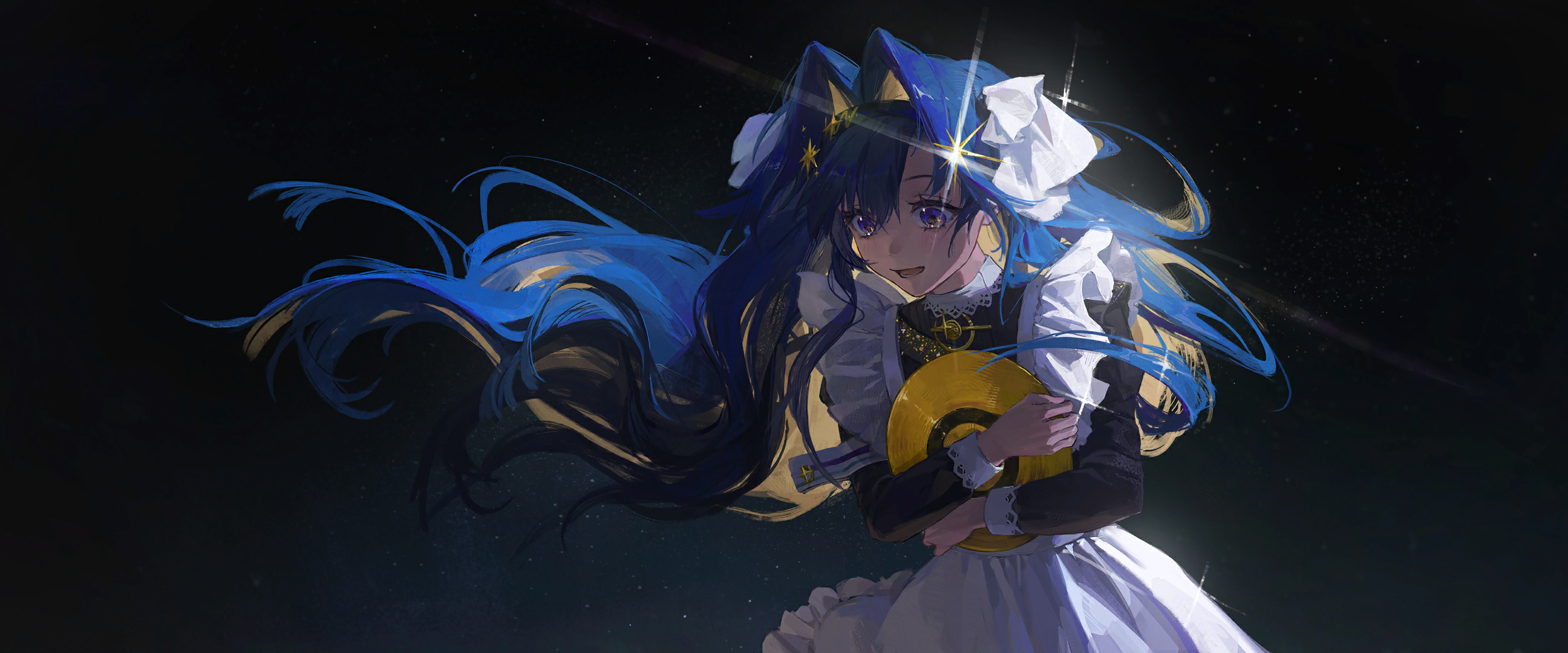 Voyager