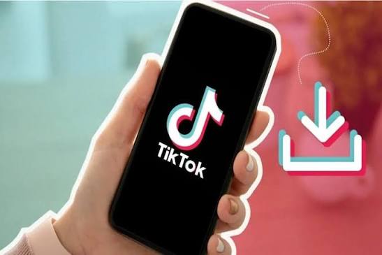 TikTok Downloader